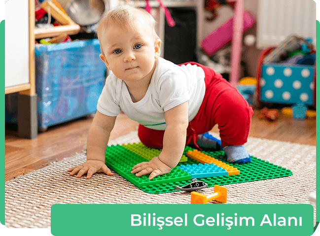 Bilişsel Gelişim Alanı